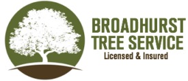 Broadhurst Tree Service